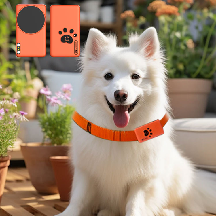 AI Wearable Pet Health Monitor - Breath Rate Monitor avis et prix